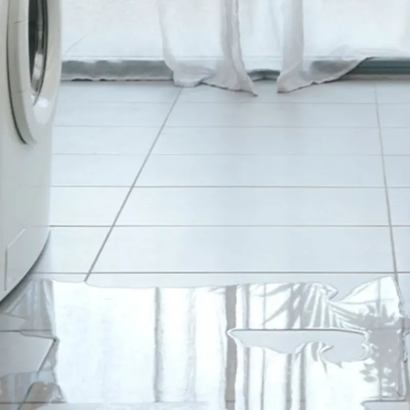Appliance Leak Cleanup in Stallion Springs, CA